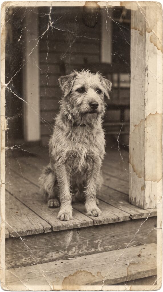 Old Photo Restoration